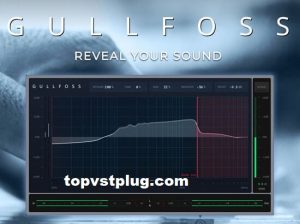 Sound theory Gullfoss Crack V1.4.1 Mac/Win Full Version Download